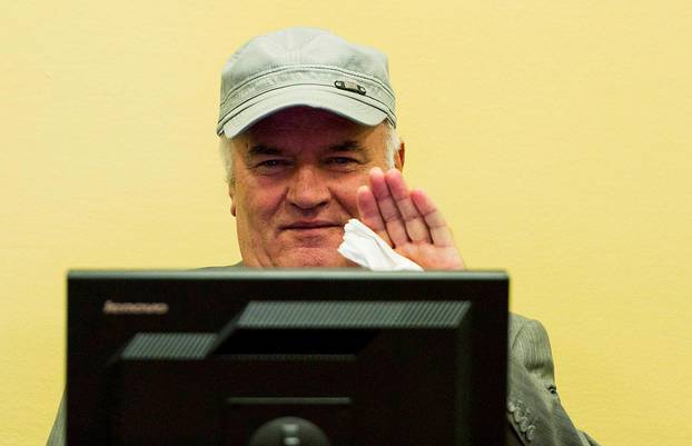 Former Bosnian Serb commander Mladic appears in court at the ICTY in the Hague