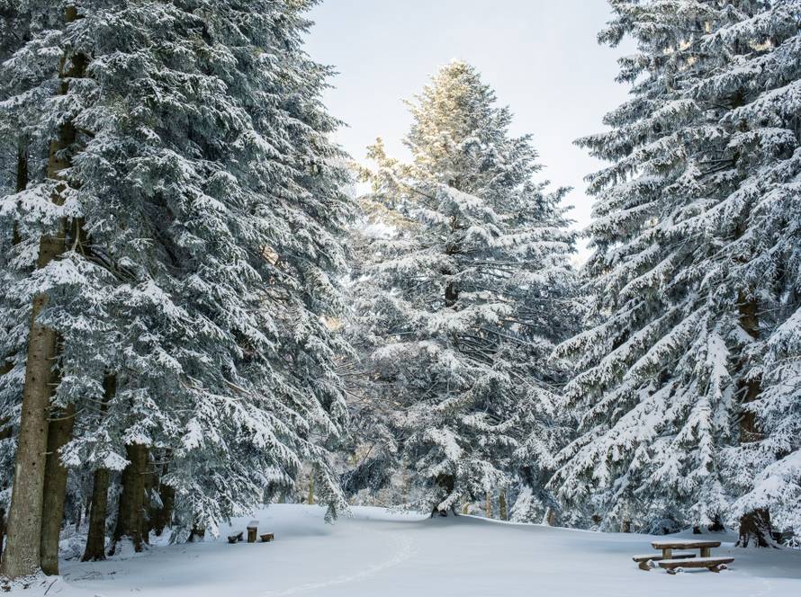 Izložba „Medvednica, neraskidiva veza sa Zagrebom“
