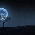 Prvi put od 1944. u  svim vremenskim zonama: Na Noć vještica bit će puni plavi Mjesec