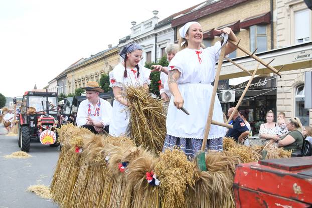Daruvar: Obilježen je Dožinky, najveća kulturna manifestacija češke manjine u Hrvatskoj
