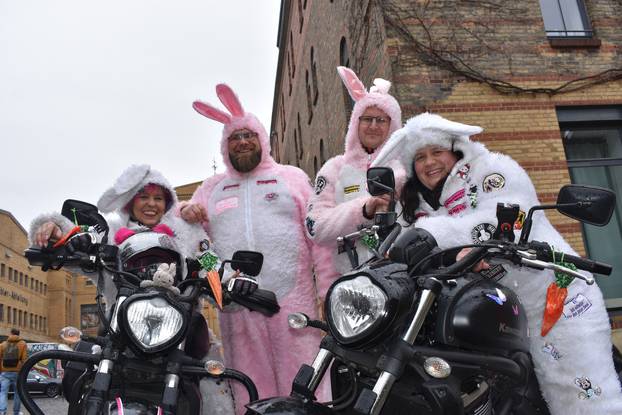 Donaldists, bikers as rabbits and other curious associations