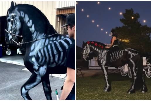 VIDEO Konja obojili kao kostura pa pokrenuli žustru raspravu: Je li ovo Halloween ili mučenje?