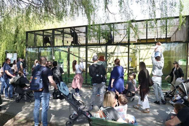 Osijek: Uskršnji ponedeljak u ZOO vrtu
