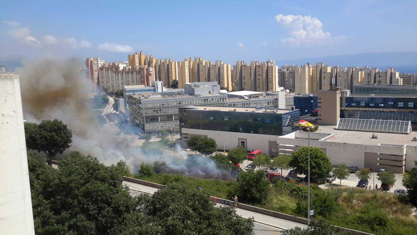 Izbio požar kod Ekonomskog fakulteta, gorjelo nisko raslinje