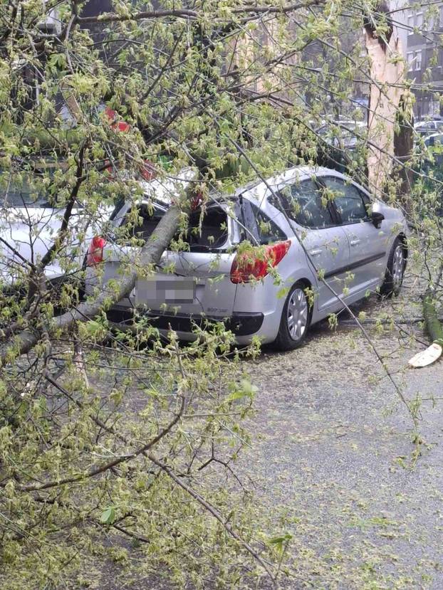 FOTO Apokalipsa u Zagrebu: Stabla drobila automobile, izdano novo upozorenje!