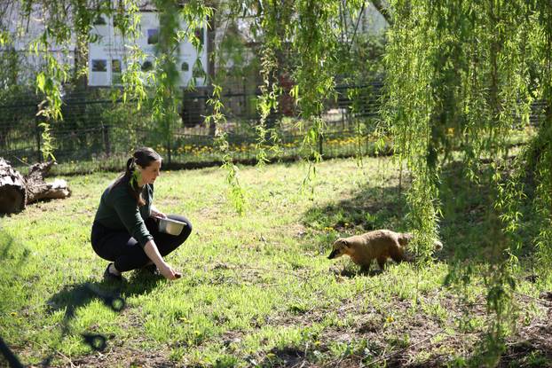 Osijek: Uskršnji ponedeljak u ZOO vrtu