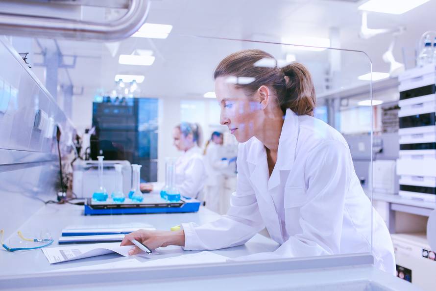 ALKALOID – rezultati poslovanja za razdoblje siječanj – prosinac 2024