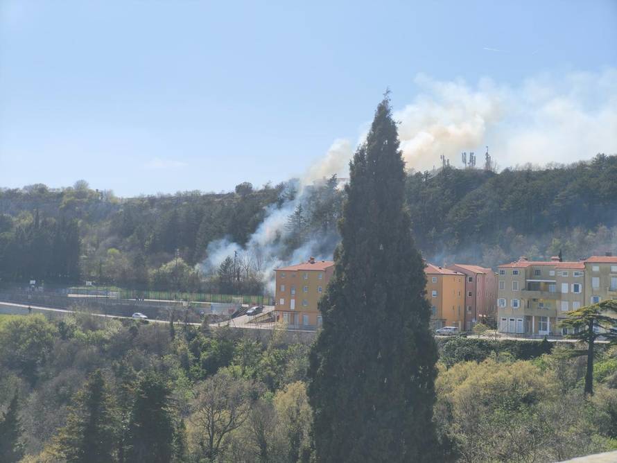 FOTO Gori šuma u Labinu