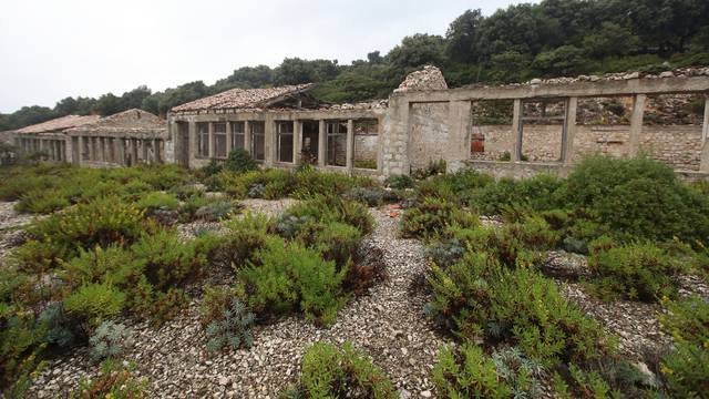 Sv. Grgur, otok na kojem je bio zatvor za žene