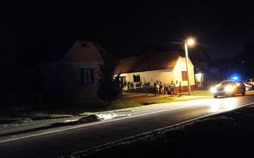 Maja Šantoši/PIXSELL