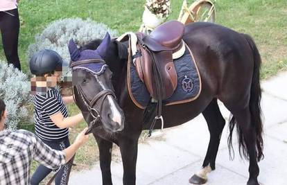Za spomenik se bacaju milijuni, a udruga za terapijsko jahanje mora prodati konja da prežive