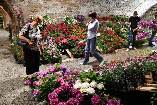 Slavonski Brod: Sajam cvijeća, sadnica, presadnica i cvijetnih dekoracija - Florafest 2026.