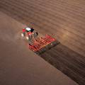 Futuristička polja: Europska poljoprivredna industrija na vrhuncu je robotske revolucije
