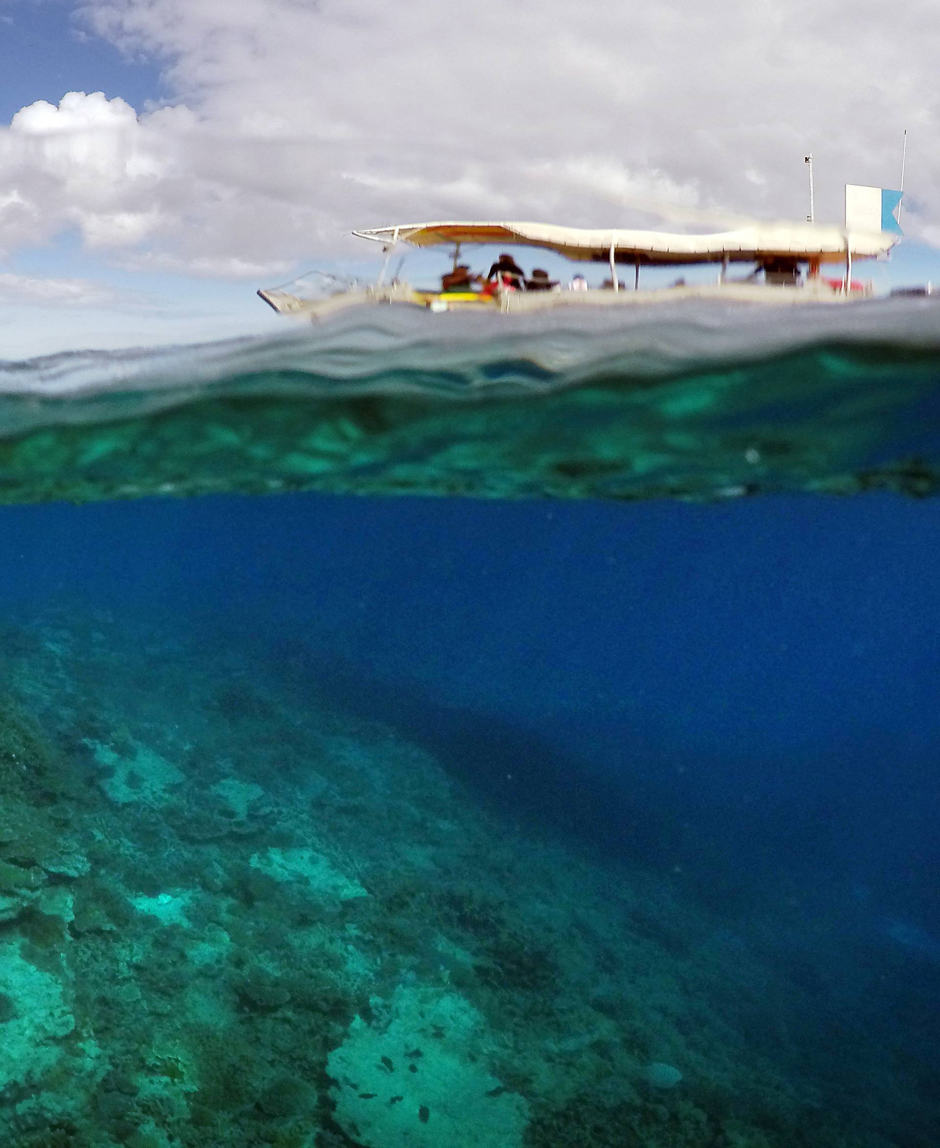 A boat carrying tourists can be seen floating above an area called the 'Coral Gardens' located in an area called the 'Coral Gardens' located at Lady Elliot Island and north-east from the town of Bundaberg in Queensland