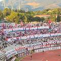 Torcidin transparent: Uz malo razuma i te&scaron;ke naravi za Hajduk