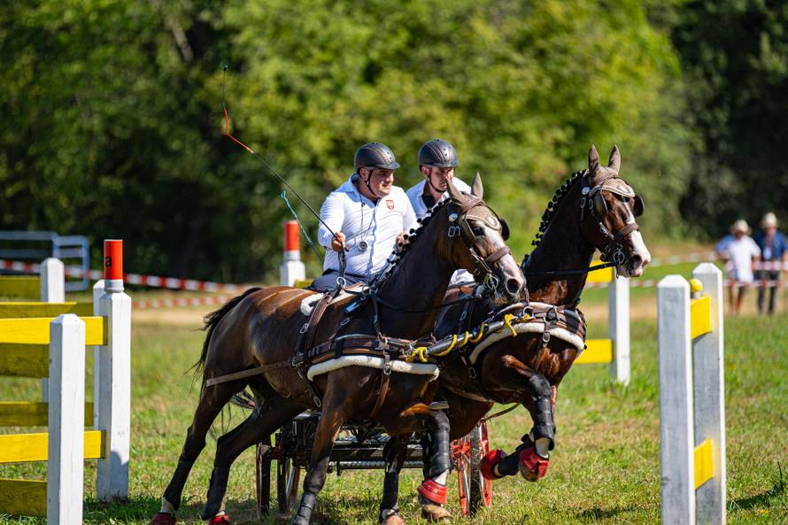 CAI FERIČANCI 2025: Slavonija u punom galopu: konjičko natjecanje, vino i doživljaji!