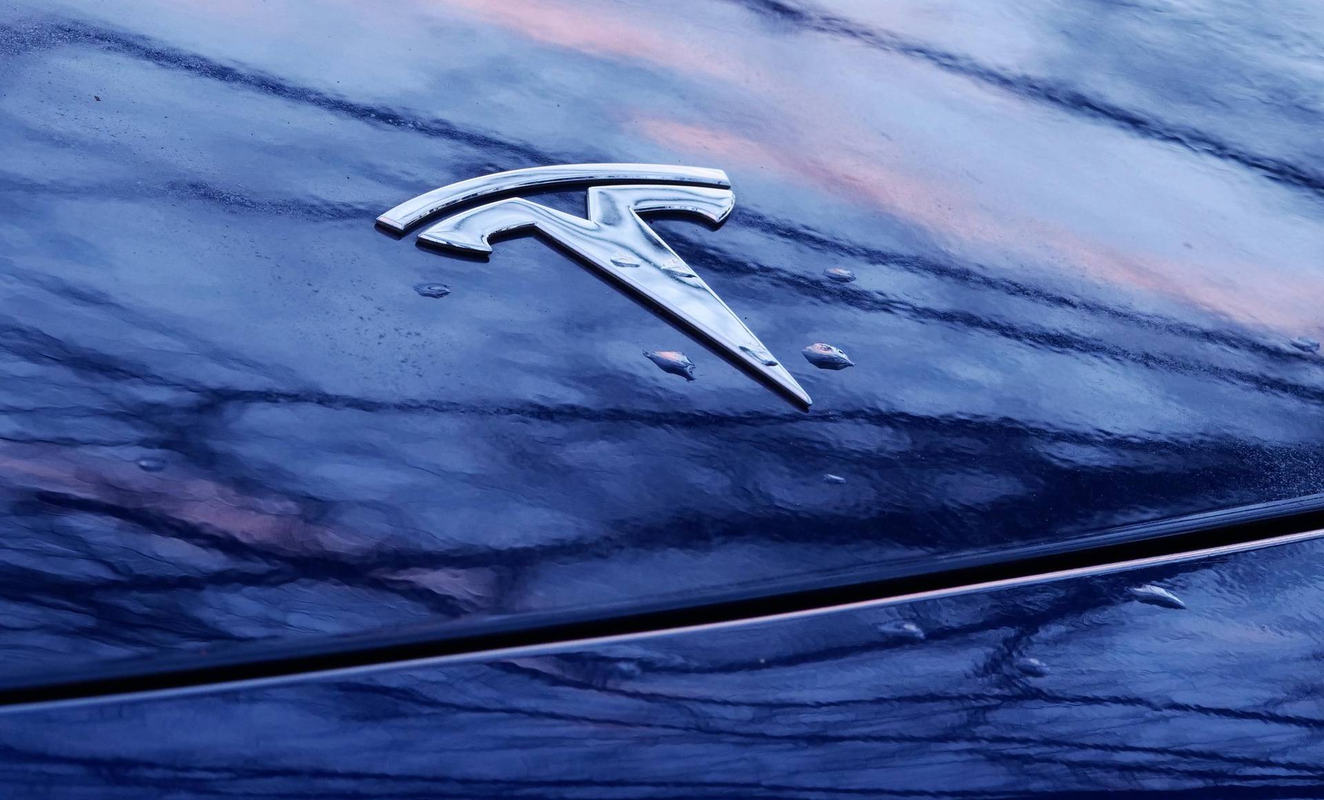 Tesla logo