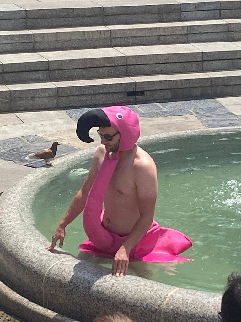 VIDEO Zagrebački Flamingo: U odijelu plamenca šetao centrom pa se brčkao u Manduševcu