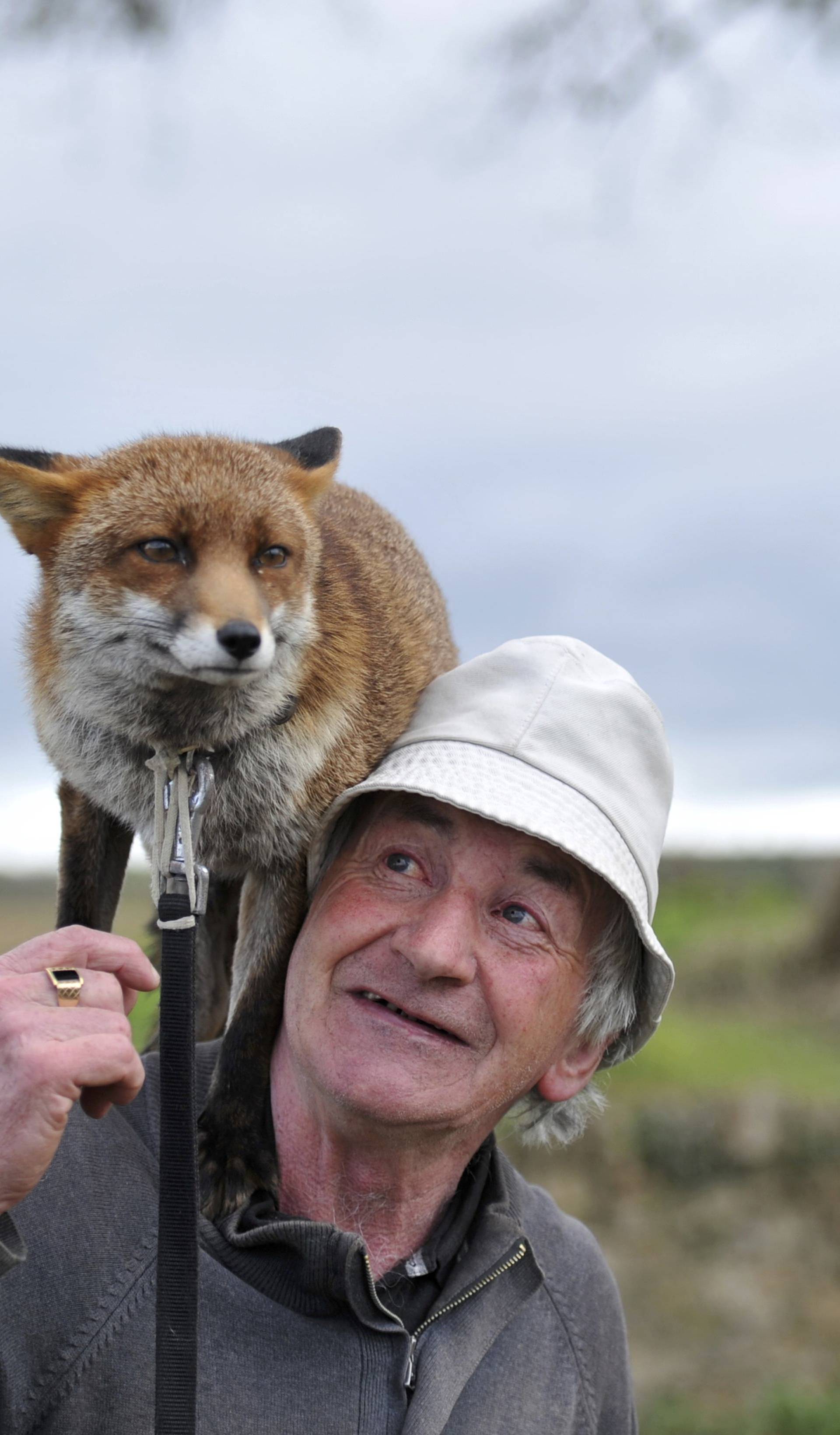 Patsy Gibbons takes his rescue foxes Grainne and Minnie for a walk in Kilkenny