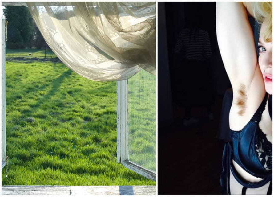 Kolaž dlaka i prozora