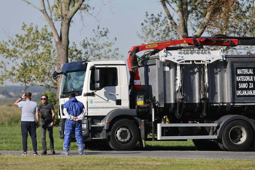 Sokolovac: Kreće eutanazija svinja, uvode se novi sigurnosni protokoli