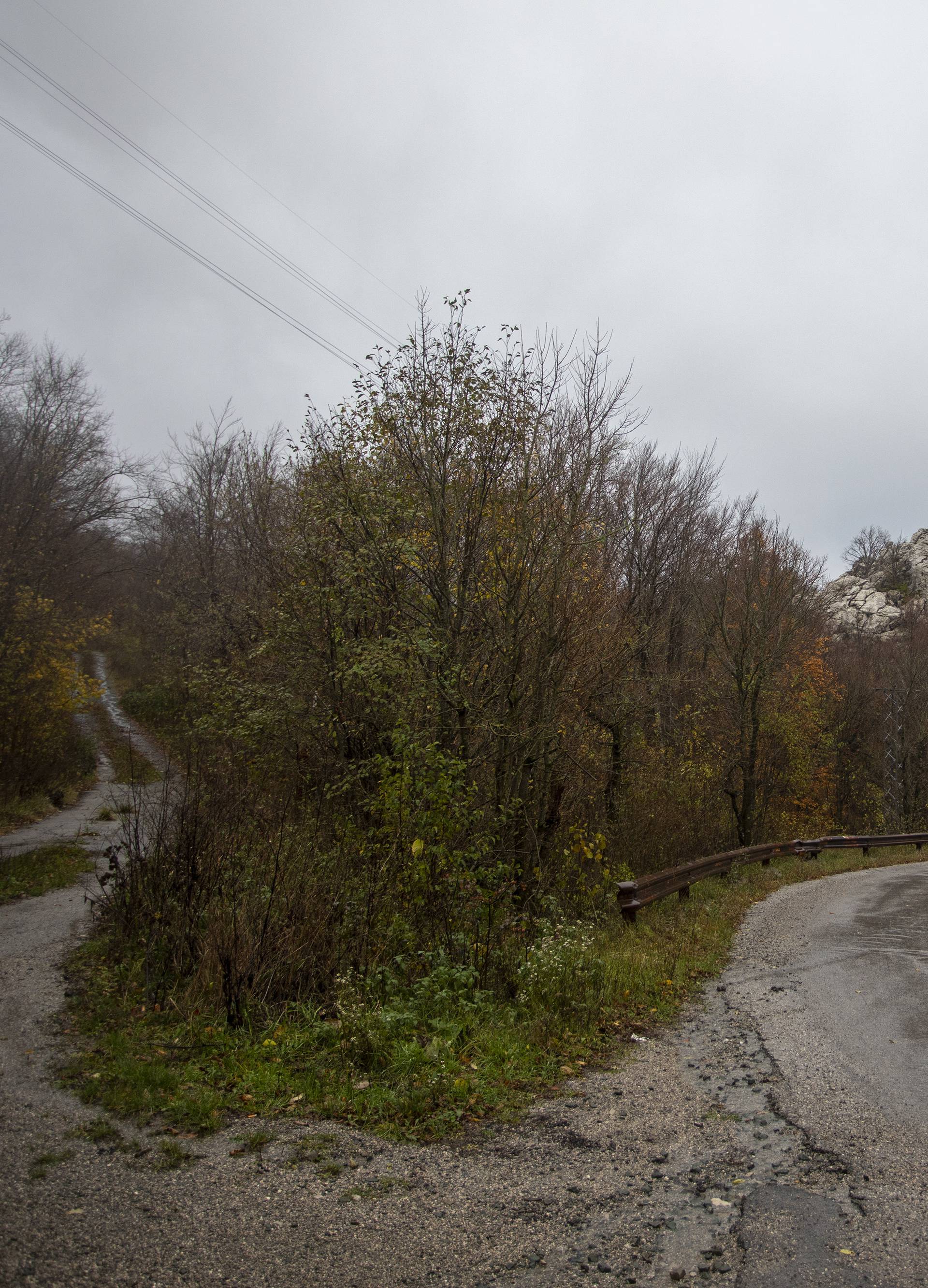 Šibenčanin taksijem prevozio migrante: 'Masno je zarađivao'