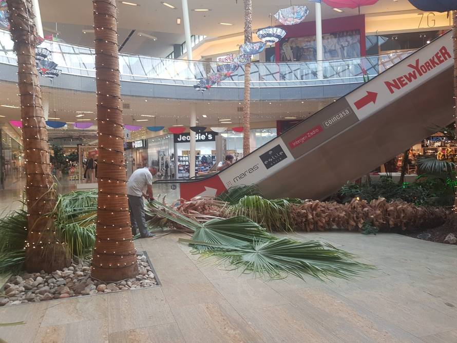 Palma tresnula u Westgateu: 'Užas, mogla je pasti na ljude'