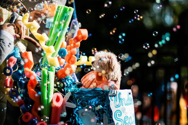 Tompkins Square Halloween Dog Parade in New York