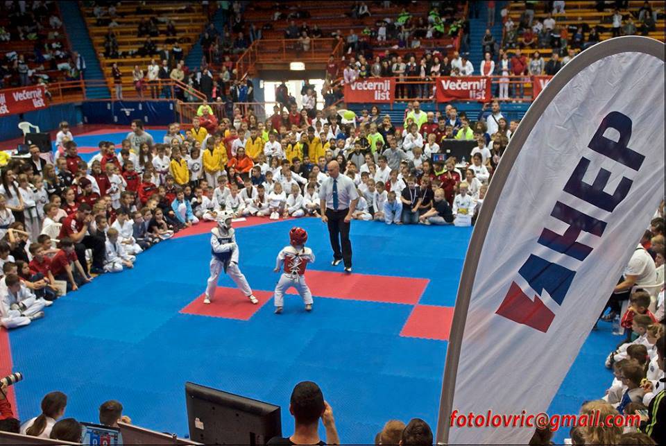 Mali heroji pokazat će nam što znaju na turniru u taekwondou