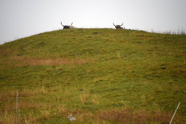 Vodice: Jesenja mističnost Ćićarije