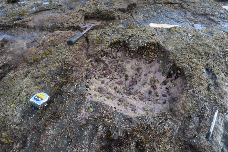 170 milijuna godina stari otisci dinosaura su 'iznimno otkriće'