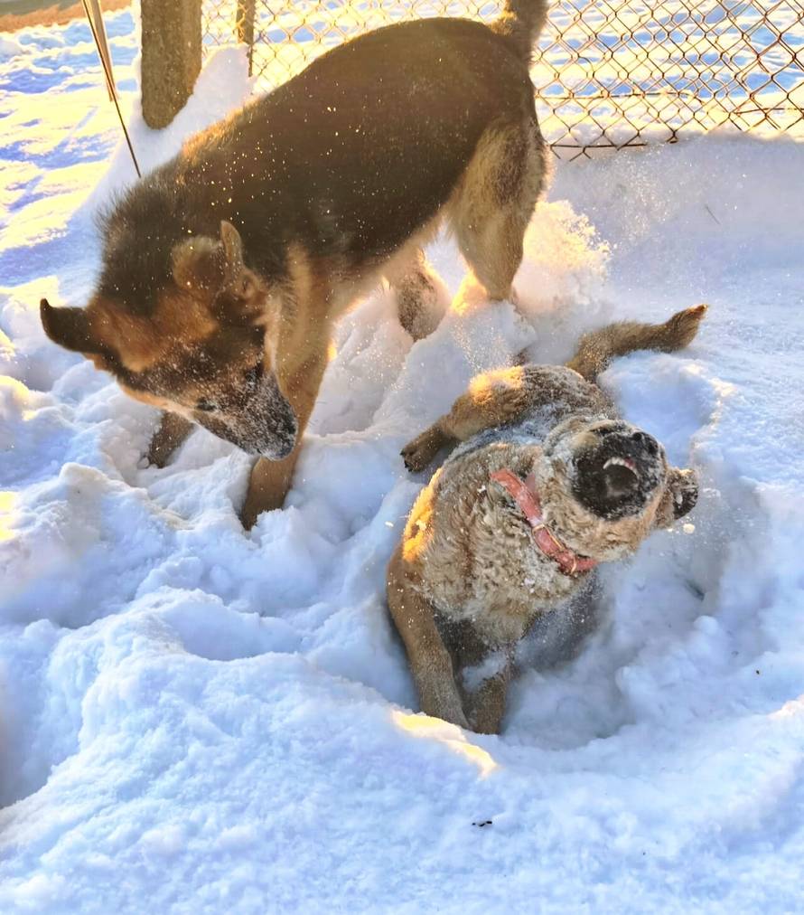 Općinska komunalka sama 'izlopatala' snijeg sa staze: 'Nema nikakve drame u tome'