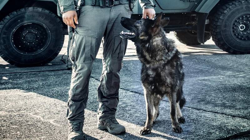 Uginuo legendarni Franz, pas iz ATJ Lučko. Njegov vodič oprostio se od njega dirljivom objavom