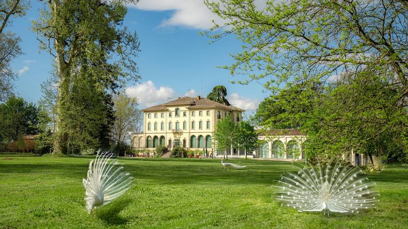 Filmska pljačka u Italiji: U tri minute ukrali slike od 9 mil. €