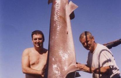 Avantura na Mljetu: ulovili morskog psa od 2,5 metra
