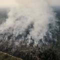 Gori Amazonija: Katastrofa za ugled Brazila u cijelome svijetu
