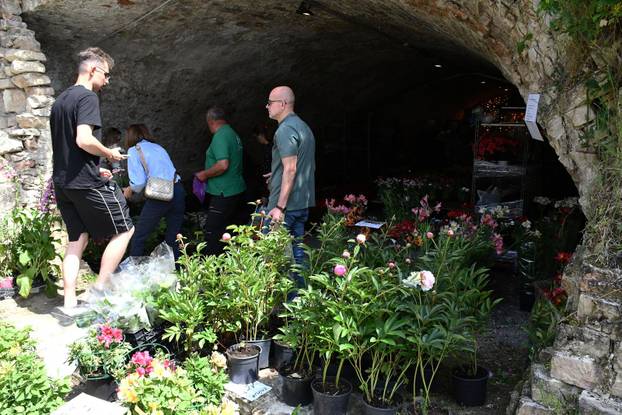 Slavonski Brod: Sajam cvijeća, sadnica, presadnica i cvijetnih dekoracija - Florafest 2026.