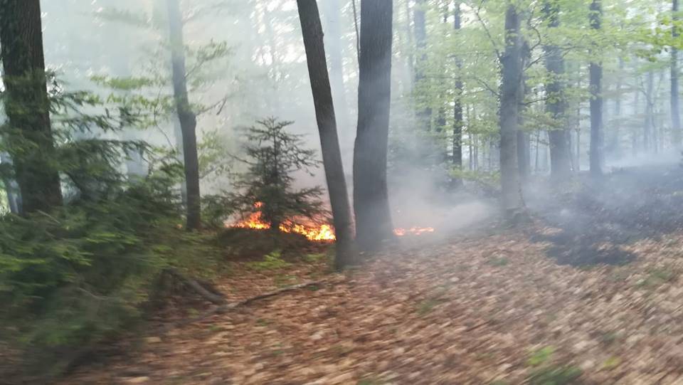 Kriv je piroman? Vatrogasci su gasili tri požara na Medvednici