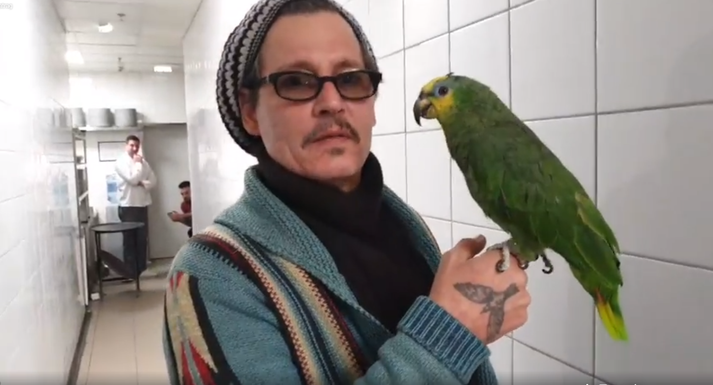 Johnny Depp priča s papigom na srpskom, čak ju je opsovao