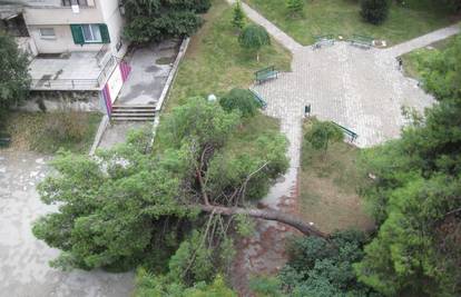 Stablo u Splitu palo je na igralište kraj dječjeg vrtića