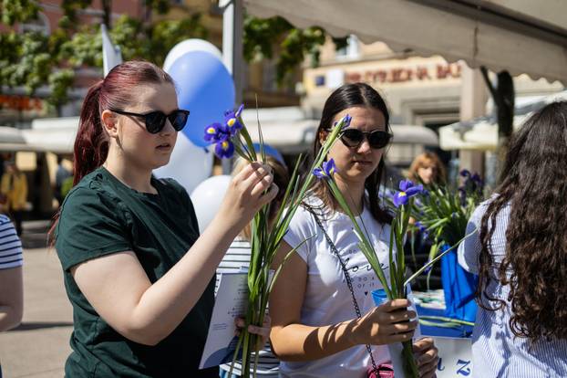 Zagreb: Obilježavanje Dana plavog irisa