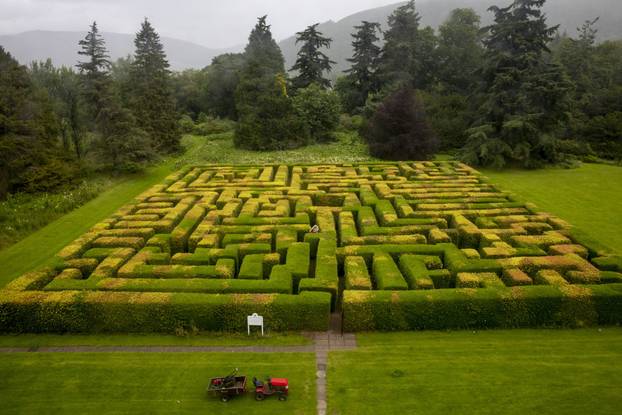 Ovaj vrtlar uređuje labirint pred otvaranje, no - zna li on izaći?