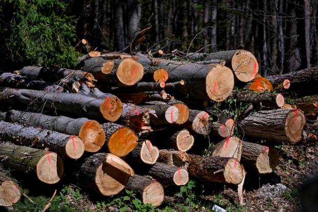 Zagreb: Posljedice olujnog nevremena na Sljemenu