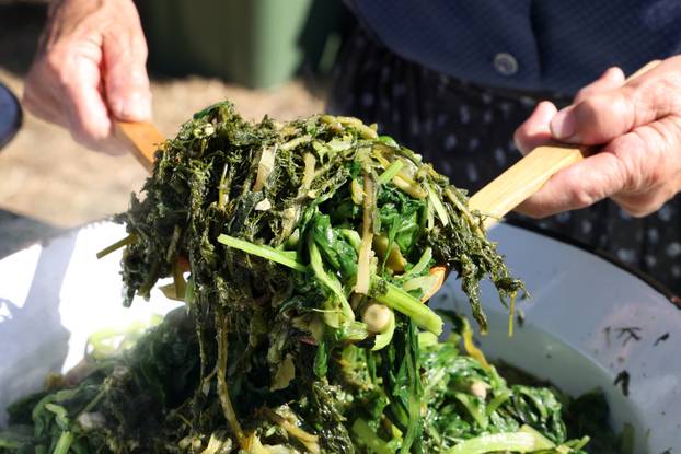 Vodice:Tradicionalni prvosvibanjski piknik u Rakitnici,spremanje divljeg zelja i pulente.