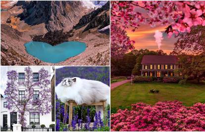 Pogledajte magične proljetne fotografije snimljene u svijetu