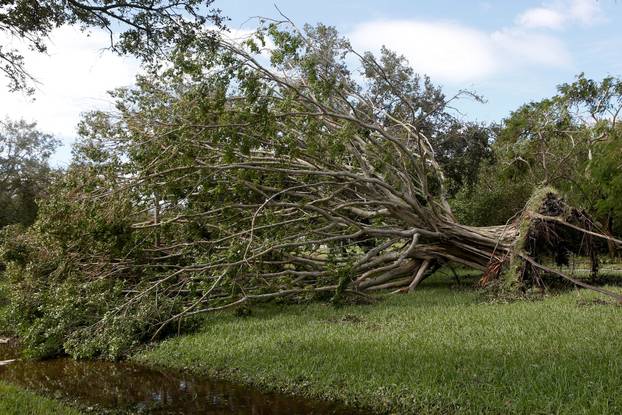 Aftermath of Hurricane Milton's landfall in Florida
