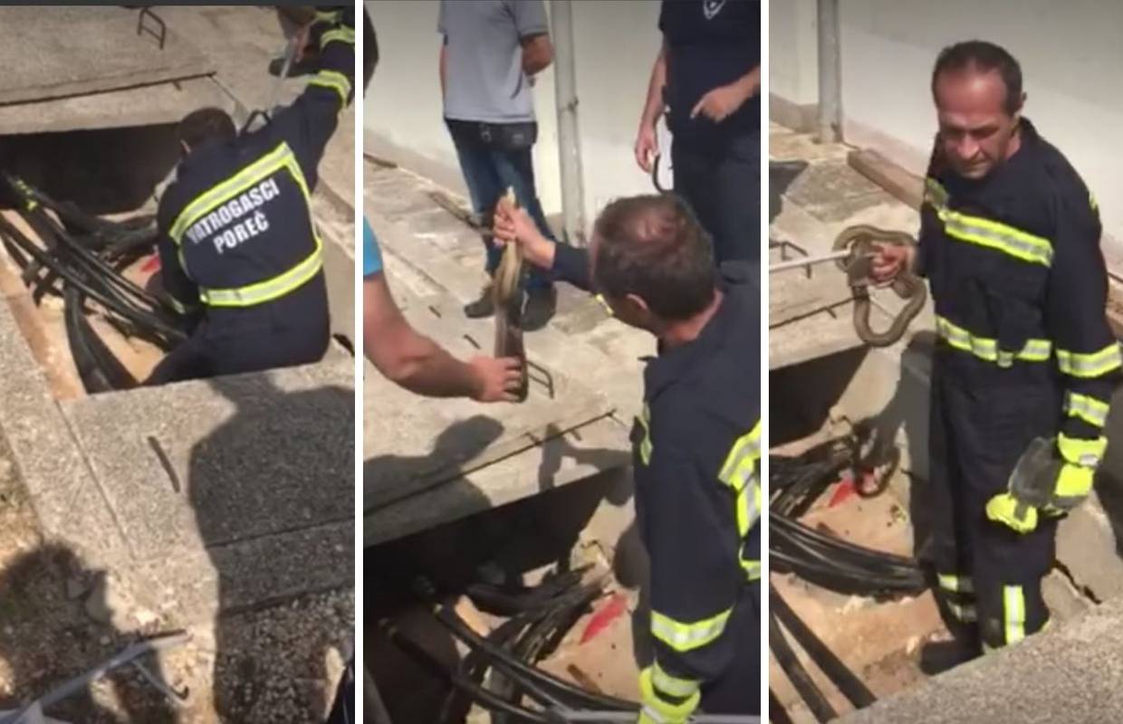 Vatrogasci u akciji kod Poreča: Uplašeni mještani zvali ih jer su mislili da im je u šahtu poskok
