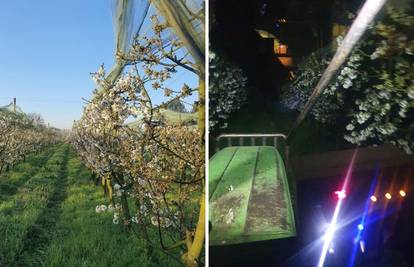 Ispovijest voćara: 'Cijelu noć sam grijao trešnje od mraza. Još ne znam jesam li uspio...'