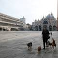 'Venecija je bez turista mrtav grad, možda je to pogreška...'
