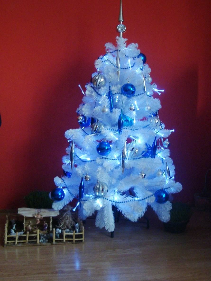 Šaljite fotografije božićnih jelki i osvojite vrijednu nagradu...